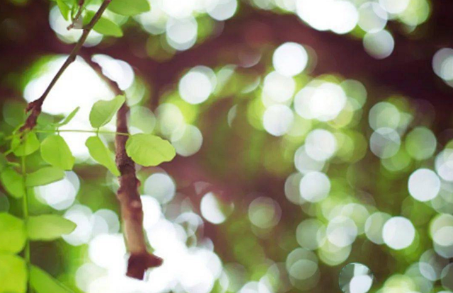 哪两种颜色可以调成紫色，哪两种颜色可以调成紫色彩搭配（但仍是一台值得购买的旗舰手机）