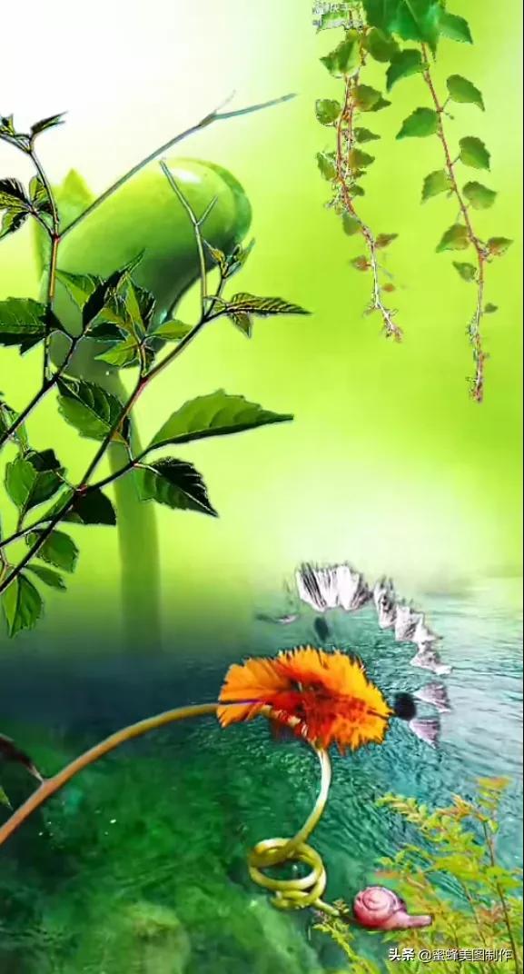 适合发心情的图片   赏图愉快哦:），关于发心情的图片（鲜艳欲滴的花朵）