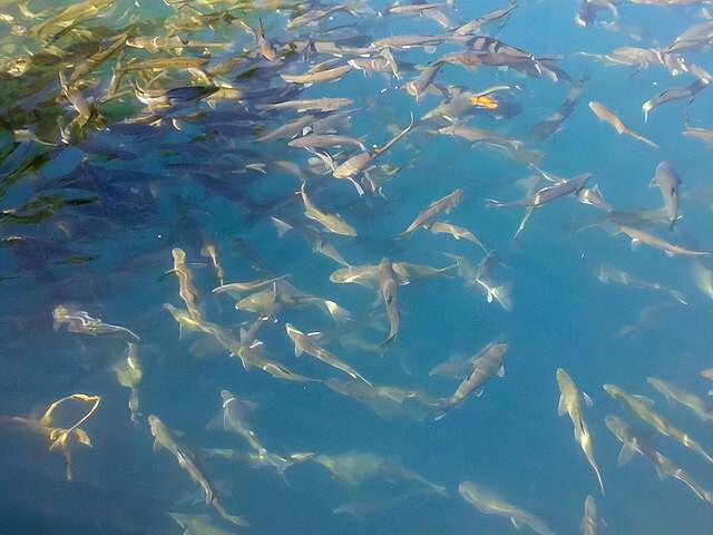 海拔最低的湖泊，世界上海拔最低的湖是什么（纳木错湖年产鱼量可达2000吨）