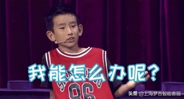电话客服外包(在线客服)