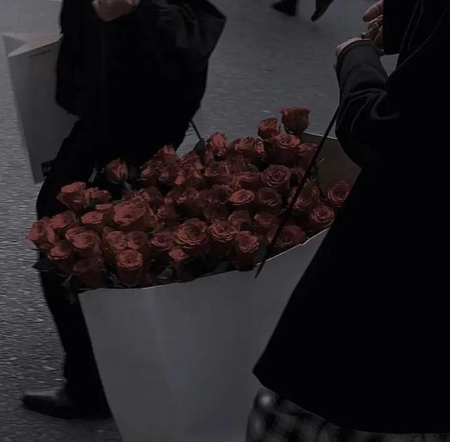 1一100朵玫瑰花代表什么意思，1至100朵玫瑰花各代表什么意思（21世纪玫瑰和爱意泛滥成灾）