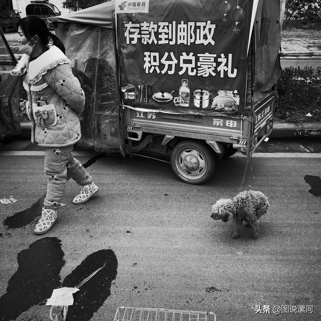 宠物市场在哪里，成都的宠物狗市场在那里呀（漯河宠物市场印象）