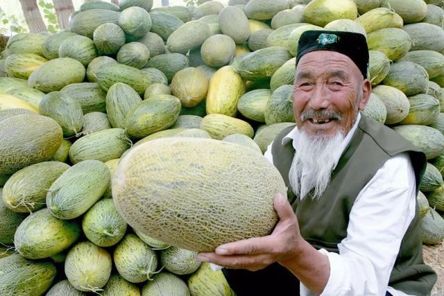 雪莲果图片，这13种水果因为名字被误解（雪莲果图片叶子图片）