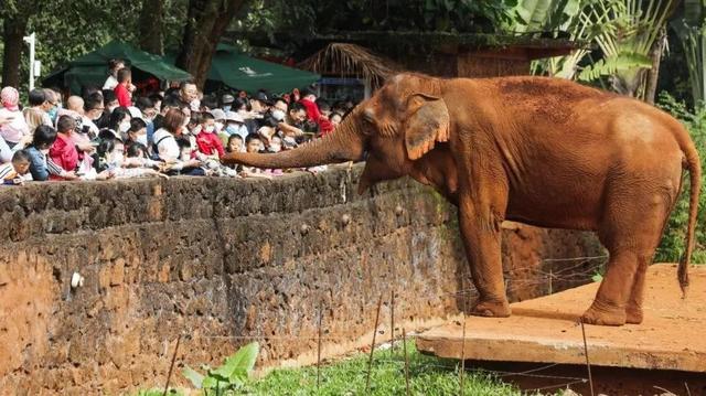 海口旅游景点，海口旅游景点地图全图（海口经典线路推荐）