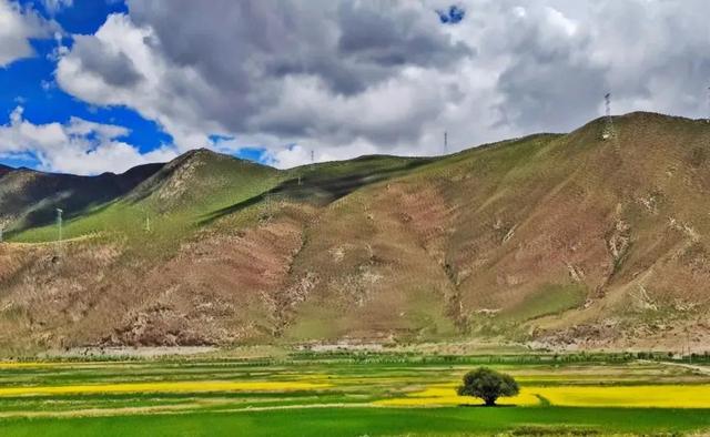 世界最大的峡谷，世界大峡谷（世界上最深的峡谷——雅鲁藏布江大峡谷）
