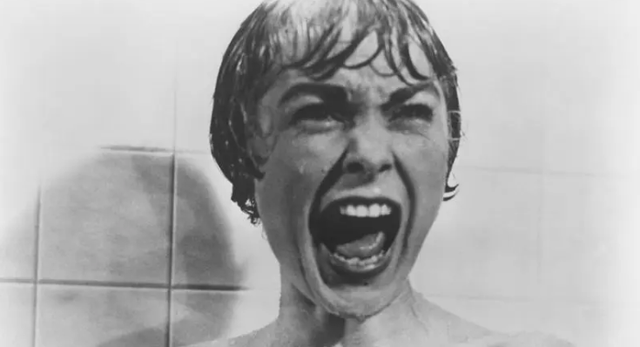 纯爱电影排行榜，世界十大纯爱片（10大精神病电影）