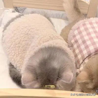 分手头像?情侣头像微信，分手头像?情侣头像（7.29精选情侣头像丨怦然心动的情侣头像）