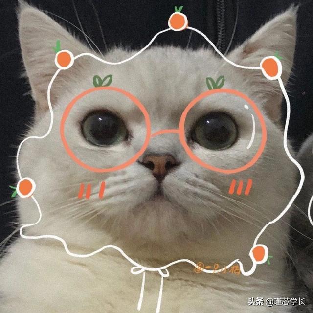 情侣头像刺激一点的，紧张刺激の三人情头no.微信（你们确定不点进来看看吗）