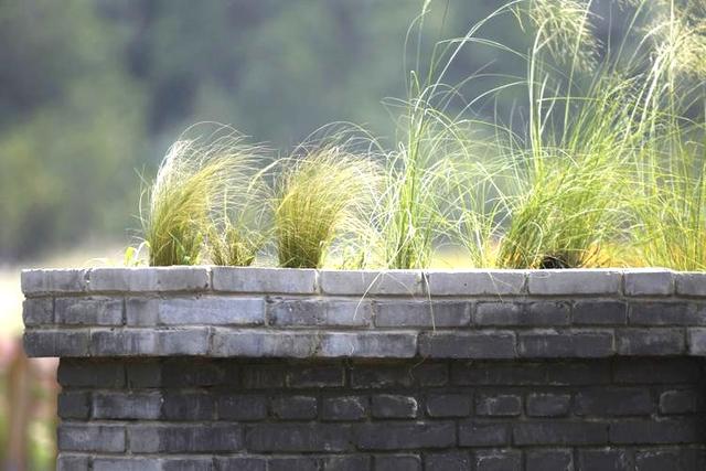 飞蛾扑火下一句是什么歇后语，飞蛾扑火歇后语下一句是什么（幽默风趣充满情感和智慧的歇后语）