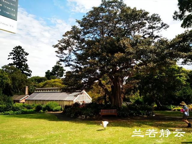 澳大利亚旅游景点，澳大利亚旅游景点英文（澳洲悉尼市区的几个大众化景点）