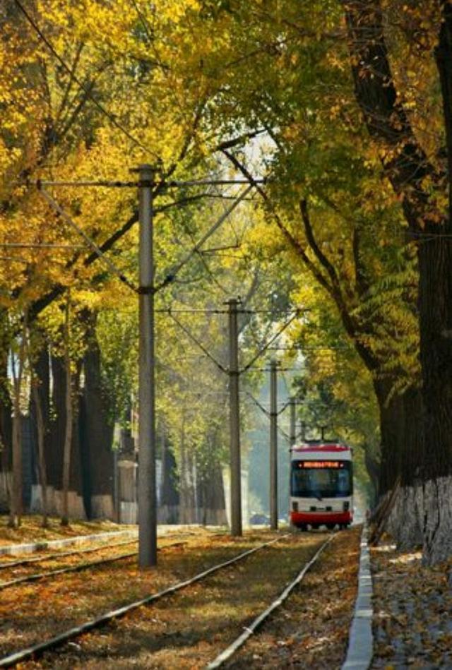 什么的季节填空，什么的季节填空词语（散文：我喜欢这样的季节）