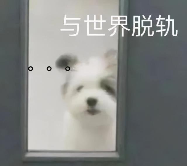 十年脑血栓的沙雕网名，十年脑血栓的沙雕群名（那些没有十年脑血栓想不出的沙雕文案2.0）