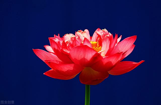 挥挥手我不愿你走的歌名是什么，挥挥手我不让你走是哪首歌（真真假假碎花絮-谨以此文做节追寻本真的我）