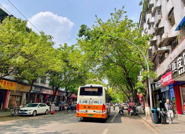 成都市北改规划图，成都北改规划（实拍新都老城区新新路现状及玖源片区有机更新）