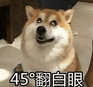 狗名字大全洋气的顺口，狗名字大全洋气的顺口公狗（还在给狗狗起这些“名字”吗）