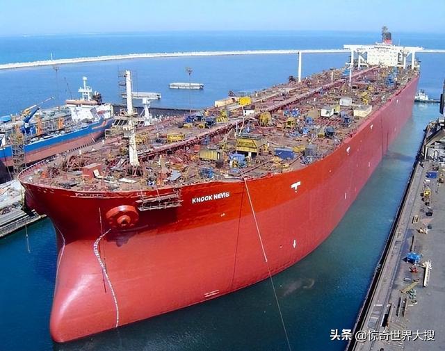 世界上最大的熊，世界上最大的熊是什么熊（25个比你想象中要大的巨物）