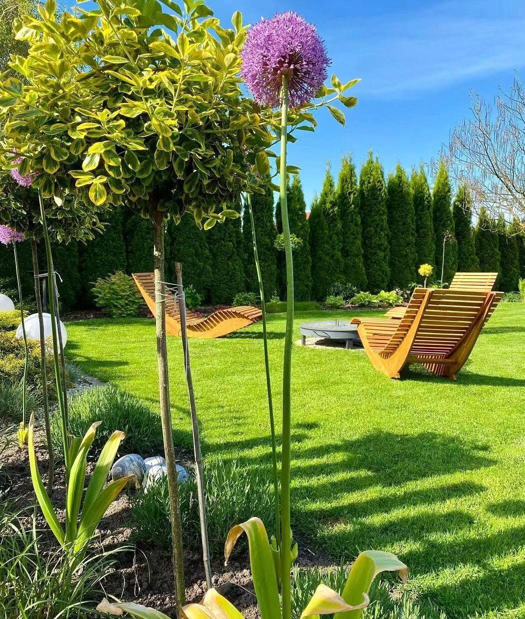 庭院草坪设计(庭院景观元素—草坪) - 彝家农业网