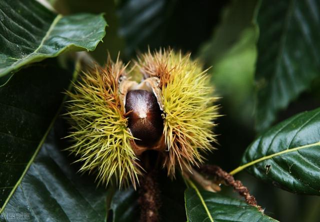 安阳好玩的地方，安阳周边那些不太出名但好玩的地方（安阳游玩︱推荐七朝古都游玩0元打卡的5个景点）