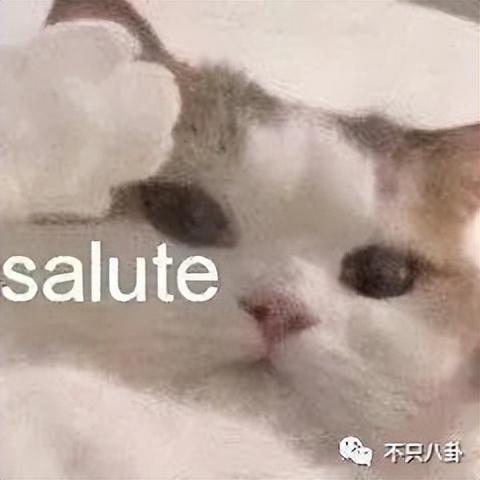 男生变成了女生，关于男生穿越变成女生的小说有哪些（从男性彻底变成女性）