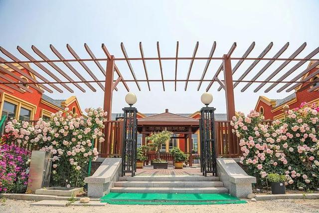 普罗旺斯薰衣草花语，普罗旺斯薰衣草简介（威海临港竟藏有一个“普罗旺斯”）