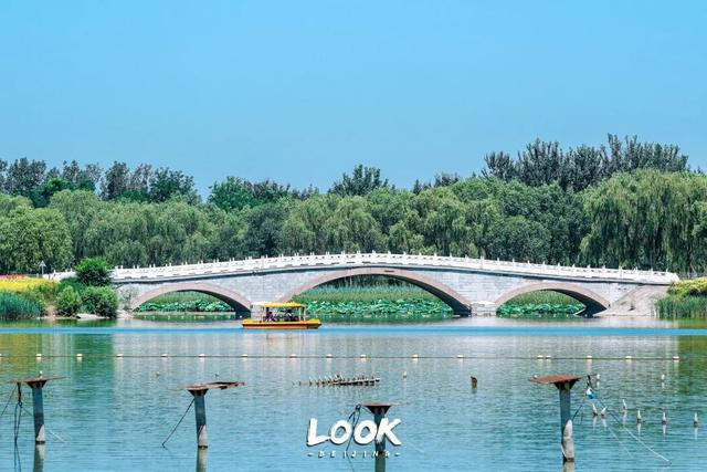 广州越秀公园游玩攻略，广州越秀公园旅游攻略（北京市内最大湿地公园）