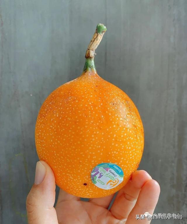 passion fruit是什么水果（土豪百香果，一斤100元）