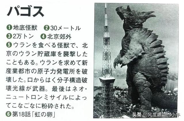 手q是什么意思，手Q是什么意思（奥特Q怪兽图鉴）