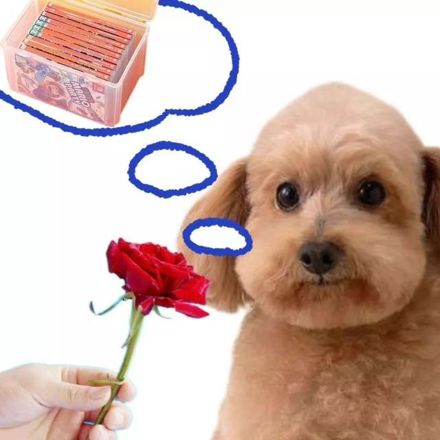 狗的土味方言，一些土味小狗怪图，收了