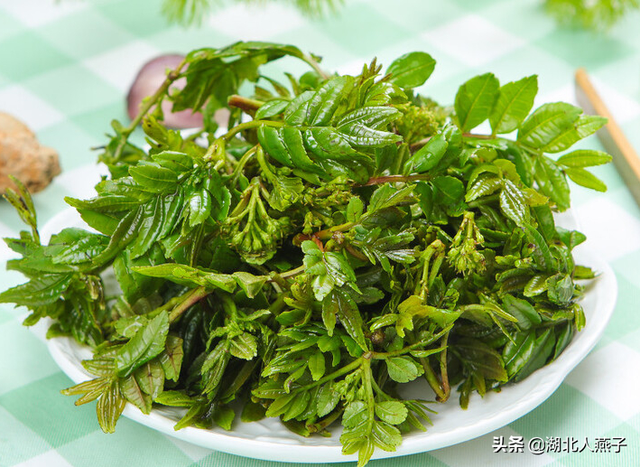 野菜的种类有哪些，野菜都有什么种类（教你认识不同的野菜和吃法）