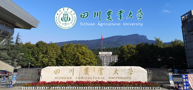 学位英语报名时间，暨南大学学位英语报名时间（四川各高校报考时间、网址、考试时间公告与通知）