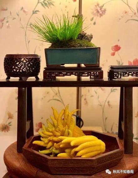 倒流香为什么叫死人香，为什么沉香招鬼（闻香识冬日）