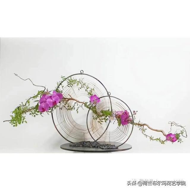 怎么挑选木本植物，怎么挑选木本植物盆景（木本花材的使用技巧和处理方法）