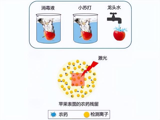 网上洗照片注意事项，洗照片注意什么（水果、大米、生肉）