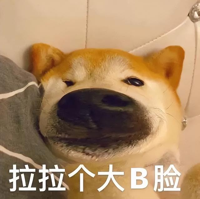 打工人语录有哪些，打工人语录长（沪上阿姨摆烂，被网友看出心机）