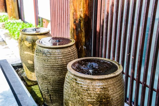 东北五大仙是什么，东北五大仙是什么仙（属于东北五大仙的快意恩仇又是怎样的）