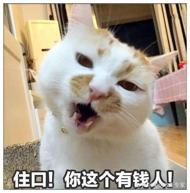 小学生笑话大全，小学生幽默笑话精选！（儿童笑话集）