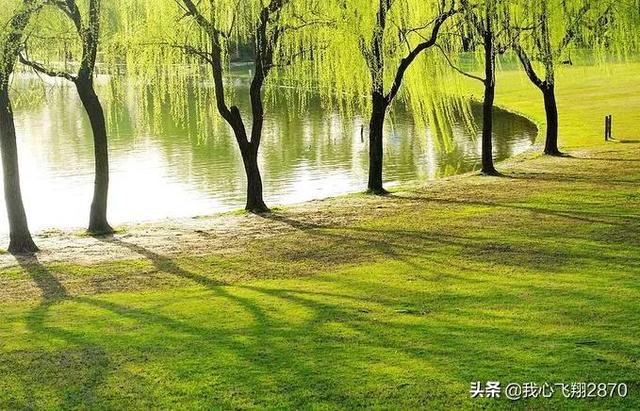 等待绽放作文高三700字 等待绽放的优秀作文，等待绽放作文高三700字（漫画作文：静待花开）