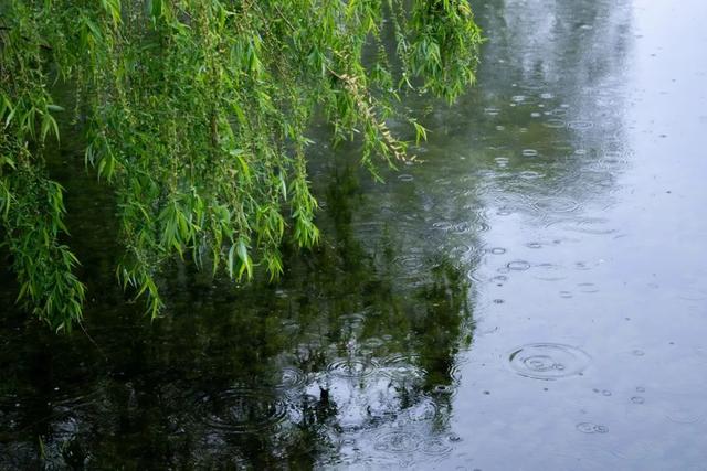 清明时节雨纷纷路上行人欲断魂，清明时节雨纷纷路上行人欲断魂是什么意思（最经典的四首清明诗）