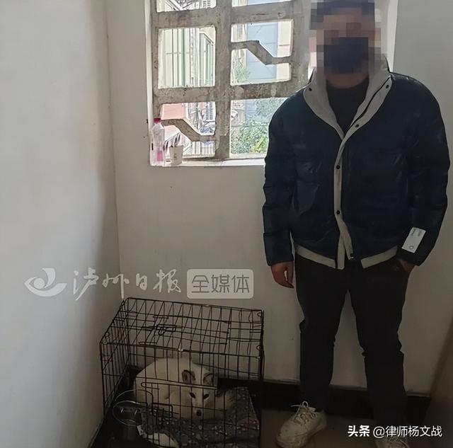 男子买狐狸当宠物的后果 养狐需谨慎，男子买狐狸当宠物的后果（网上花750买只小狐狸给女友当宠物被刑拘）