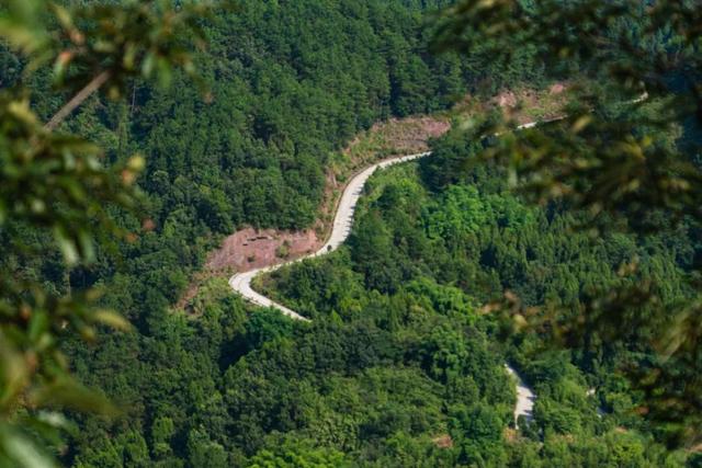 黑木耳可别这么吃，黑木耳咋吃好（徒步旅行or沿线游玩）