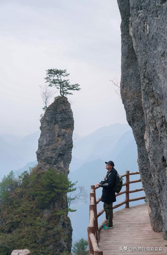 玻璃桥旅游景点在哪里，张家界玻璃桥著名旅游景点（屹立在川东的地质公园）