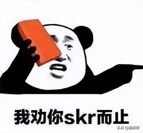 男猫咪高贵洋气的名字(有创意的公猫咪名字大全)