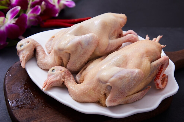 鸽子汤怎么炖好喝又营养，鸽子汤有营养吗（炖鸽子汤无需焯水）