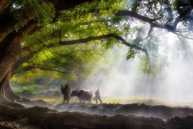 田园诗有哪些，9首必读山水田园诗