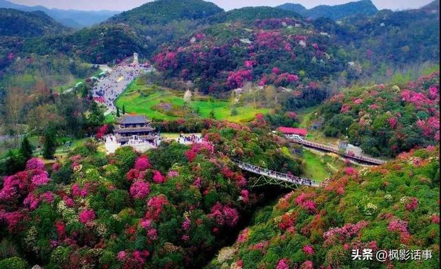 3月旅游的最佳地点，3月去什么地方旅游最好呢（三月份旅游一定要去的六个地方）