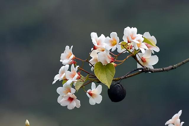 告别的句子唯美，同事告别的句子唯美（告别3月迎接4月的唯美句子）