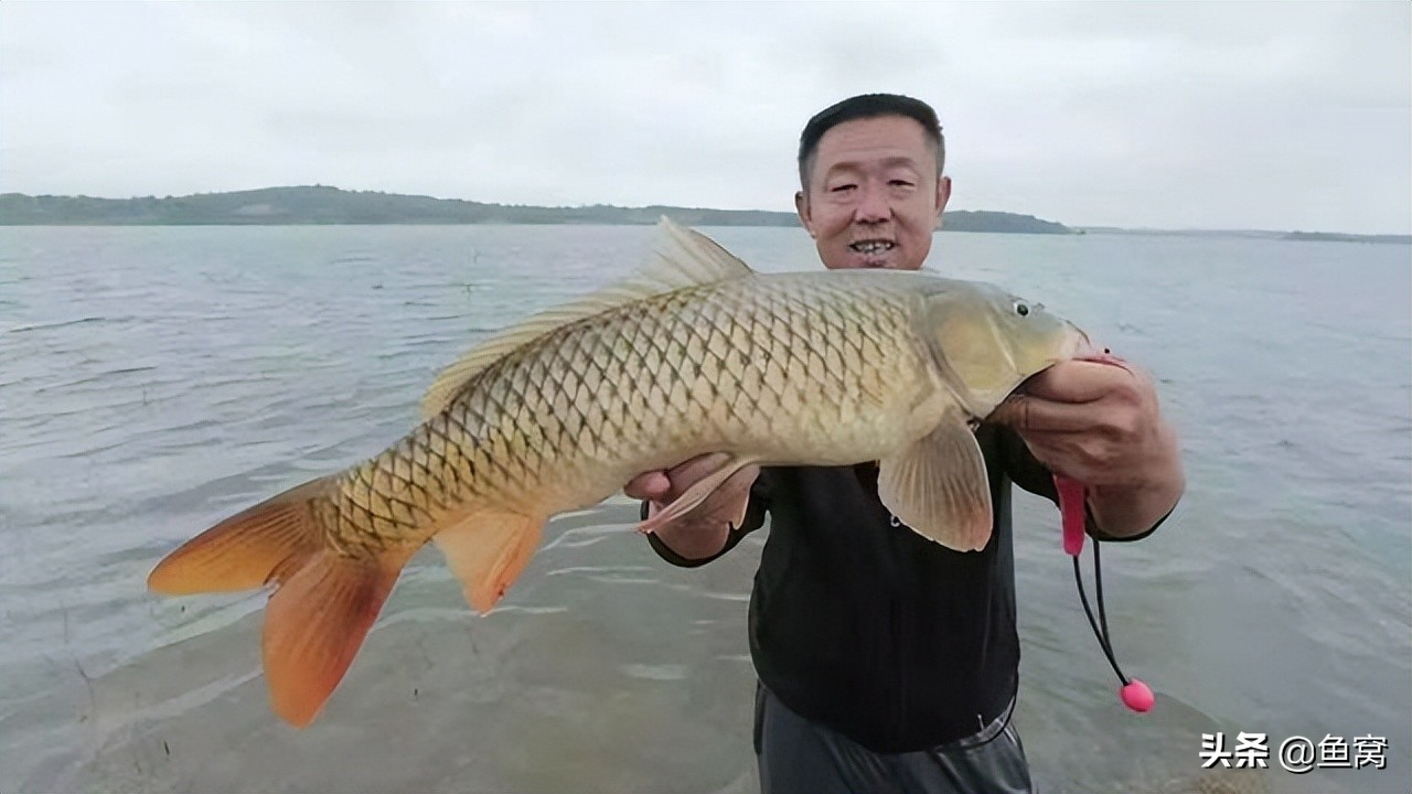 游钓中国第八季(那么多钓鱼节目) - 去钓鱼