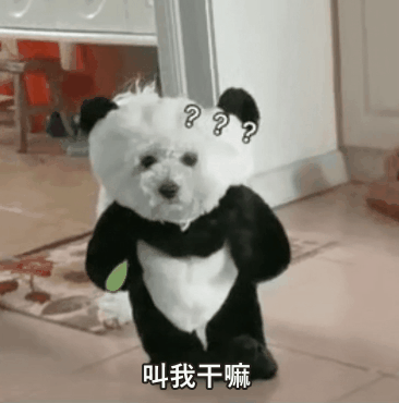 怎样制作表情包(如何用照片做表情包)