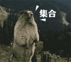 土拨鼠尖叫表情包，土拨鼠尖叫表情包在哪里下啊（土拨鼠暴走大叫的表情包）