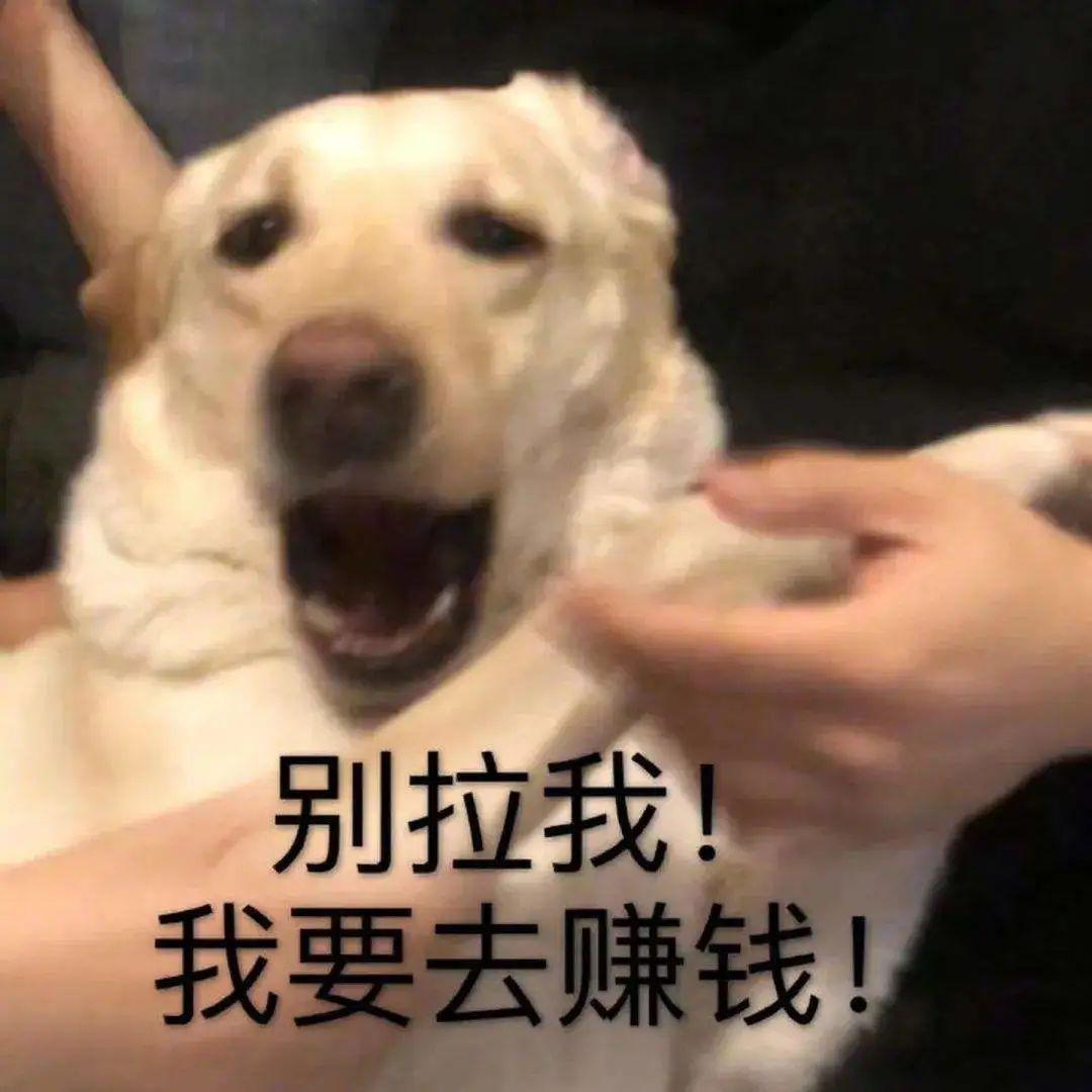哪家银行存款利率高(邮政储蓄三年无息贷款)